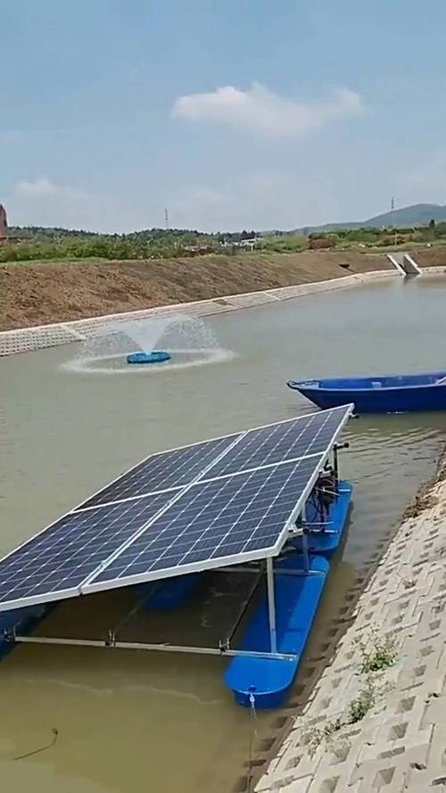 綠色動力，活水清源 太陽能噴泉曝氣機主流型號推薦指南